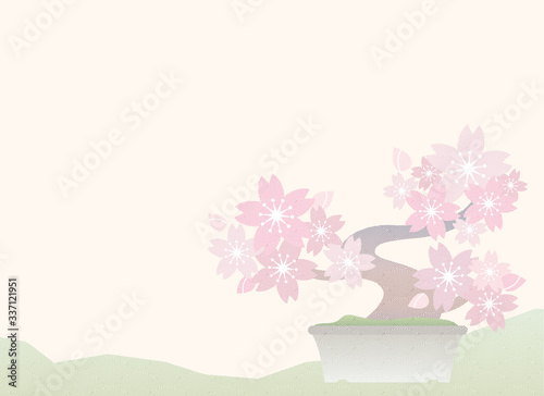 Japanese traditional  Bonsai illustration of sakura tree  background 