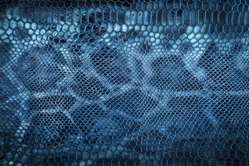 Snake skin blue background. Blue Leather texture. Flat lay, top view, copy space