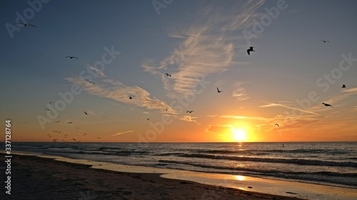Indian Rocks Beach, Florida. In a beautiful sunset, some seagulls flying at the seashore.