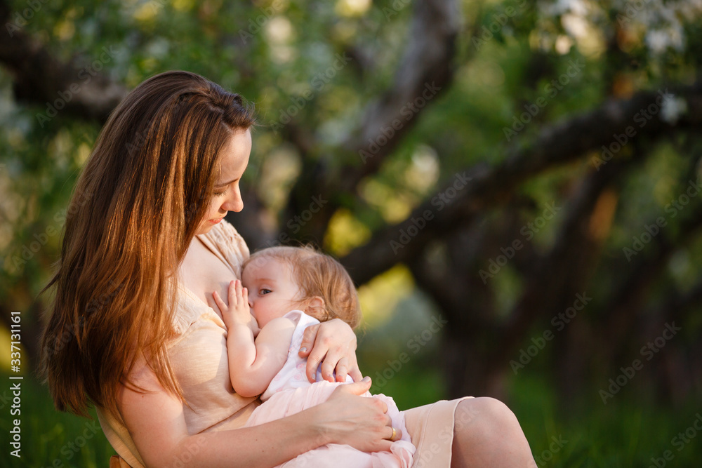 breast feeding in blooming apple garden. Mom loves her child. Spring story. Toddler girl on mom's arms in apple garden. Happy family at spring day. Mother & little daughter tenderness relations breast feeding in blooming apple garden. Mom loves her child. Spring story. Toddler girl on mom's arms in apple garden. Happy family at spring day. Mother & little daughter tenderness relations