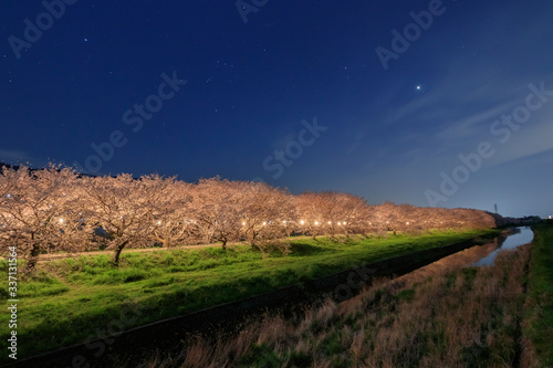 ライトアップされた流川の桜並木とオリオン座  福岡県うきは市　
Nagarekawa Row of cherry trees light up and Orion Fukuoka Ukiha city photo