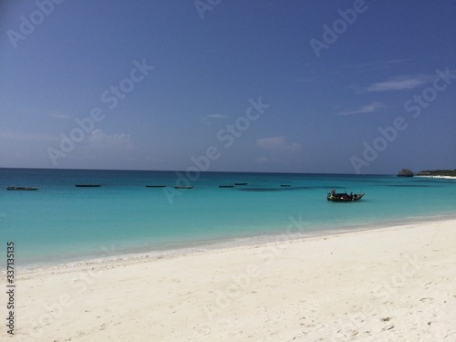 Tropical Beach in Zanzibar 