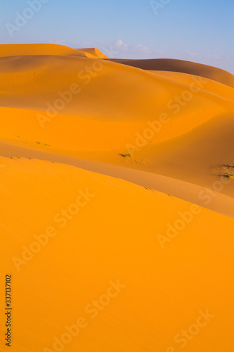 Vertical view of golden light in the desert in Merzouga  Morocco 