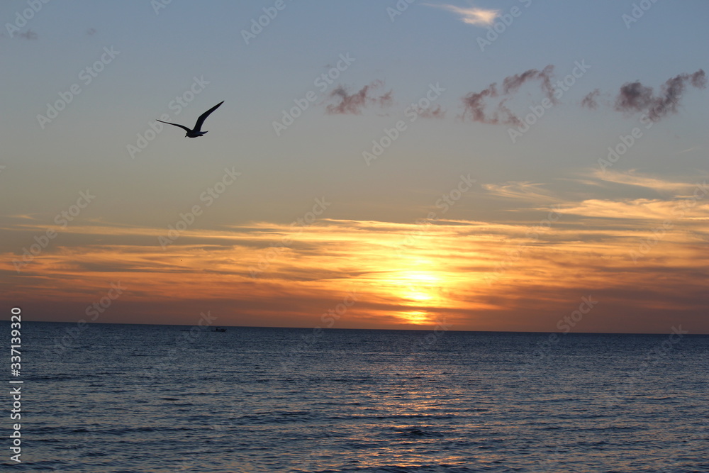 sunset over the sea