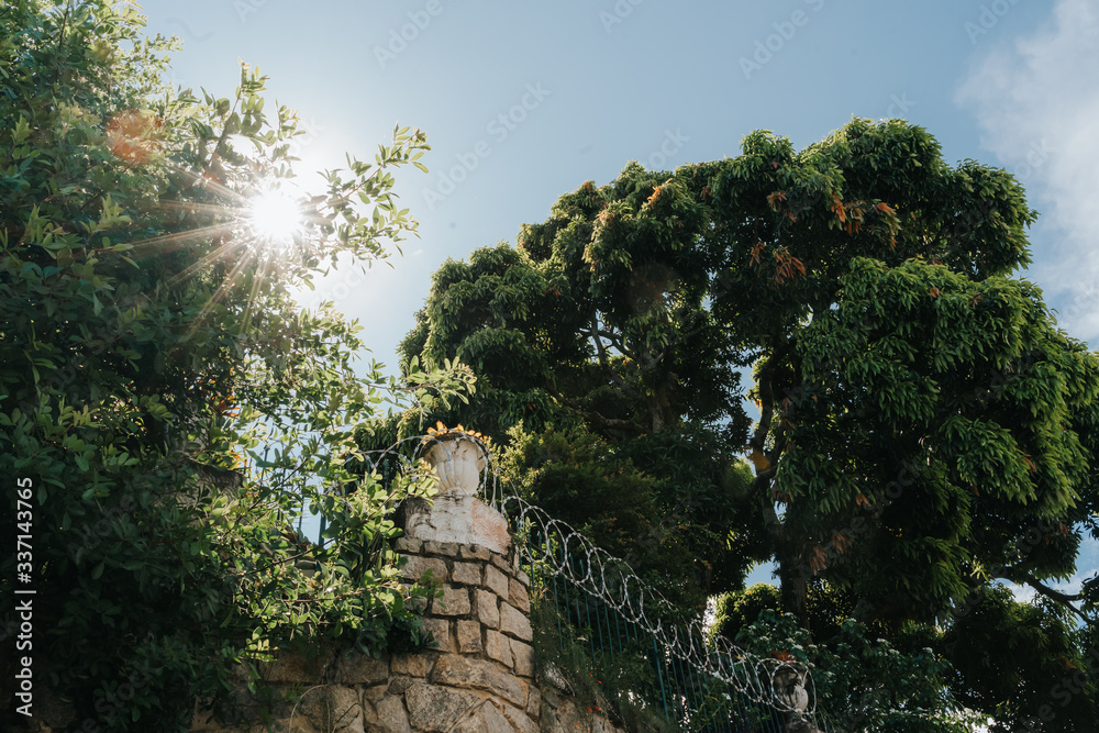 Fototapeta premium barbed wire fence and wall against sun and sky