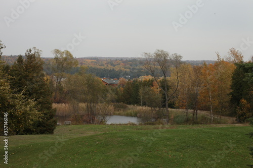 Fall Woods, yellow, green, forest, experiment, horticulture, shrubs, seasonally, wood, timbers, lake, pond, 