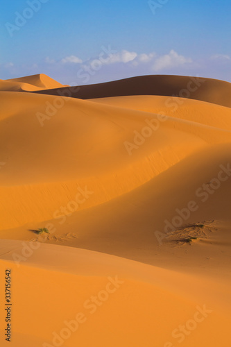 Golden light on Sahara dunes in Merzouga, Morocco