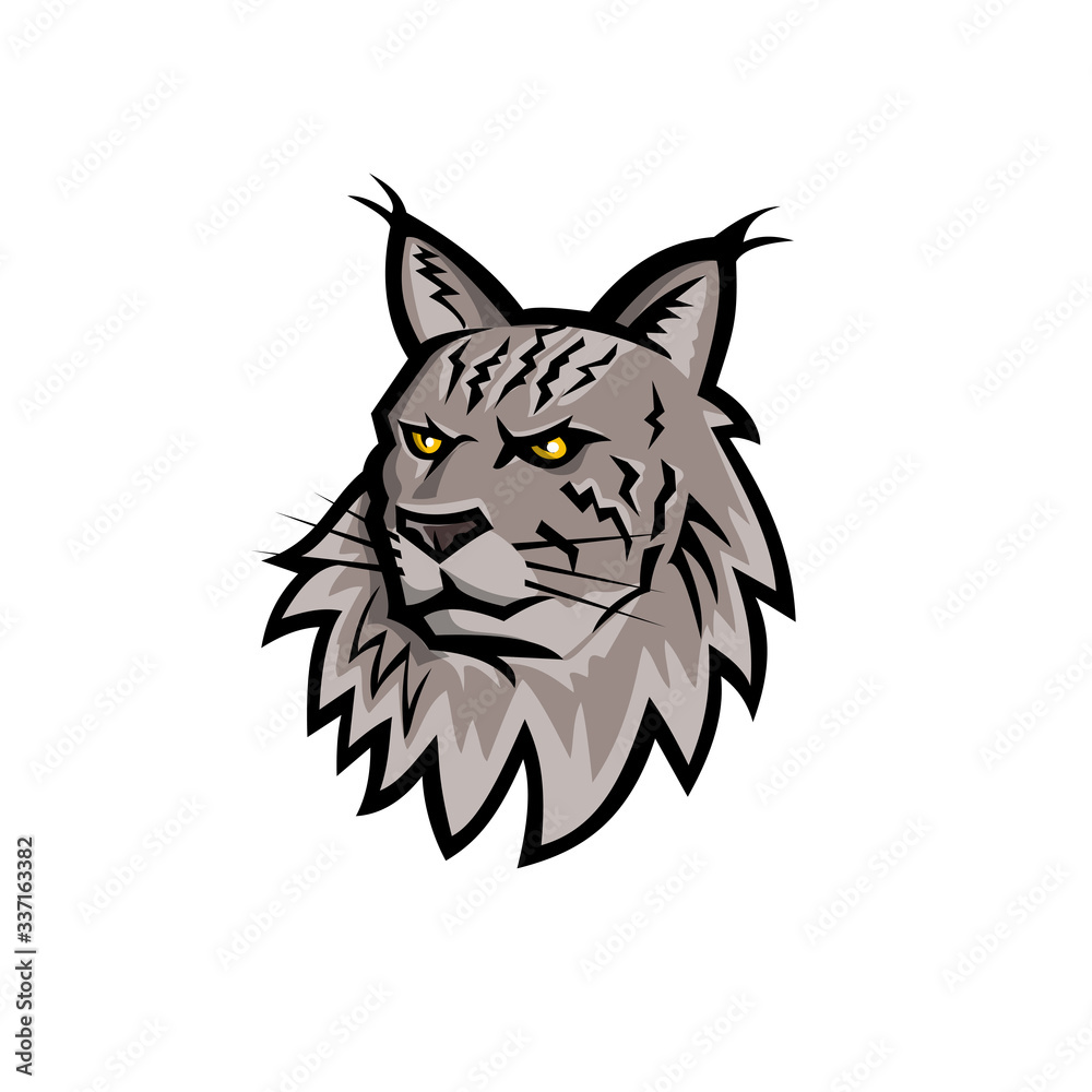 Sports mascot icon illustration of head of an angry Maine Coon, Maine shag or Coon cat, the largest domesticated cat breed in America viewed from front on isolated background in retro style. Sports mascot icon illustration of head of an angry Maine Coon, Maine shag or Coon cat, the largest domesticated cat breed in America viewed from front on isolated background in retro style.