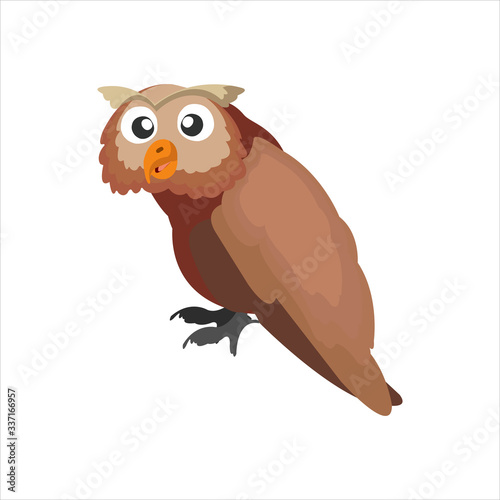 Cute animal owl clip art bird illustration cartoon character