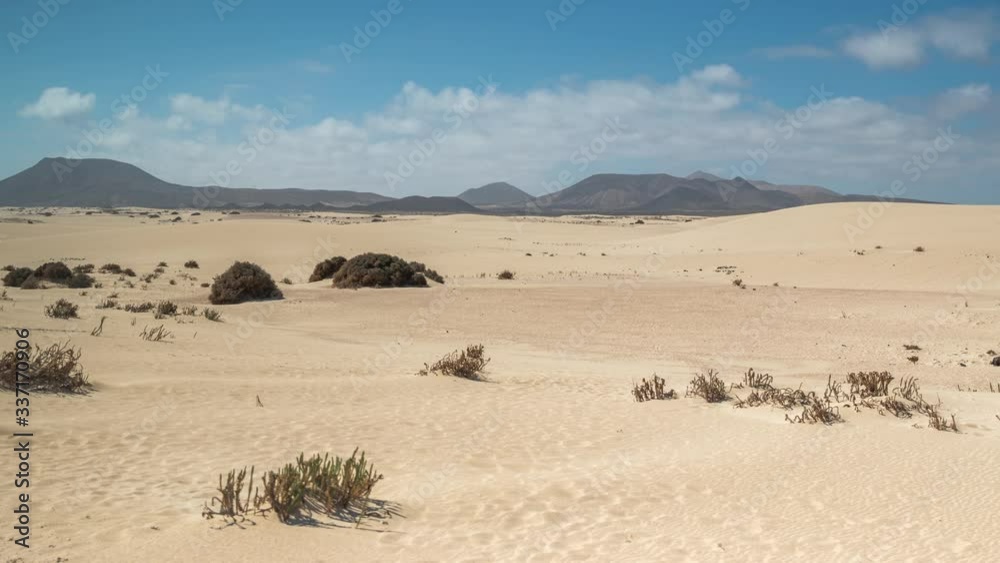 desert beach at corralejo natural park . desert beach at corralejo natural park .