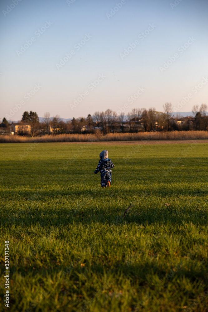 Rear view of little child walking into a field in spring on sunny day Rear view of little child walking into a field in spring on sunny day