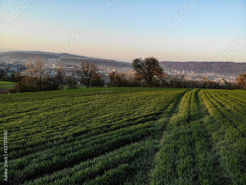 aerial vew of a green field in the morning 
