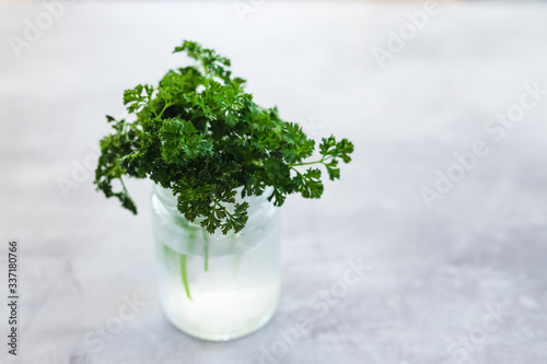 Foto plant-based food ingredeints, jar with water to kep parsley and herbs fresher fo