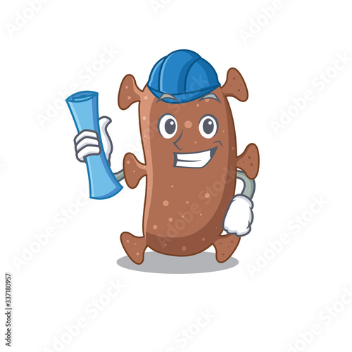 Cartoon character of actinomyces israelii brainy Architect with blue prints and blue helmet