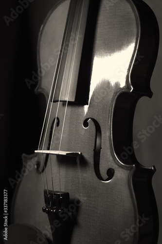 violin de 4 cuerdas tamaño completo instrumento musical photo