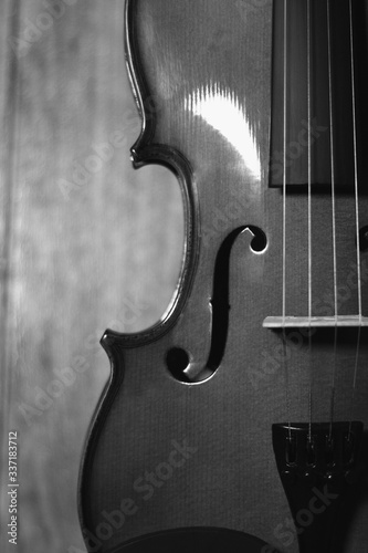 violin de 4 cuerdas de madera en blanco y negro photo