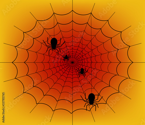 Spider handing on black net