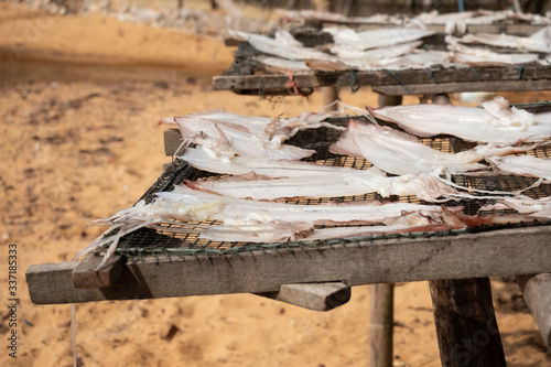 Wallpaper Mural Sun dried calamari Torontodigital.ca