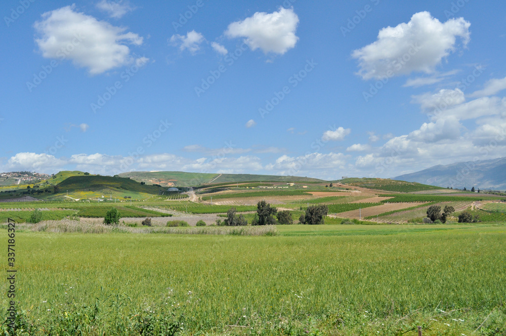 Agricultural Fields Landscape