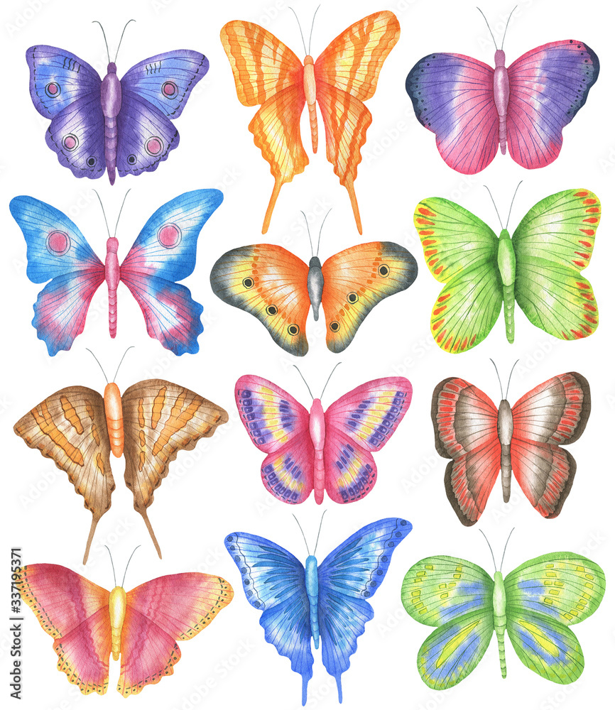 Set of butterflies