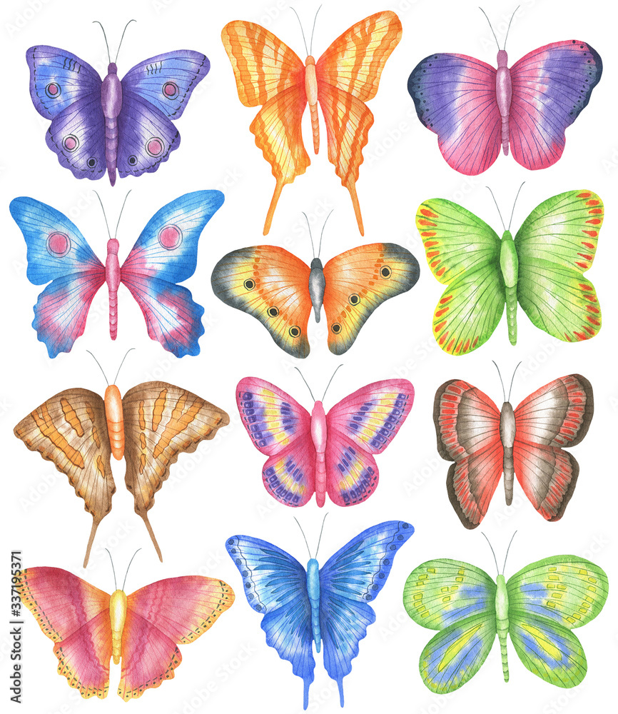 Set of butterflies Set of butterflies