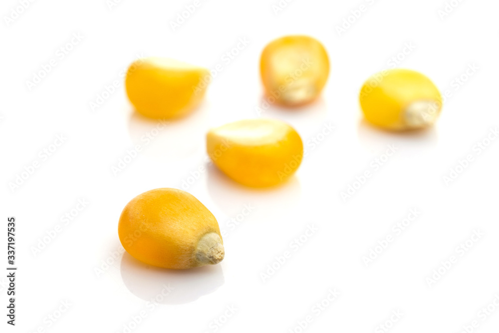 Barley seeds isolated on white. Yellow Sweet grain corn for popcorn - agriculture background. Concept of healthy food, vegetarianism, cooking corn. Barley seeds isolated on white. Yellow Sweet grain corn for popcorn - agriculture background. Concept of healthy food, vegetarianism, cooking corn.