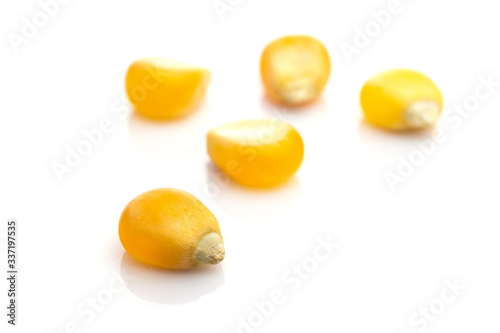 Barley seeds isolated on white. Yellow Sweet grain corn for popcorn - agriculture background. Concept of healthy food, vegetarianism, cooking corn.