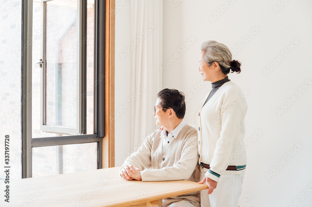 Asian aged couple portrait Asian aged couple portrait