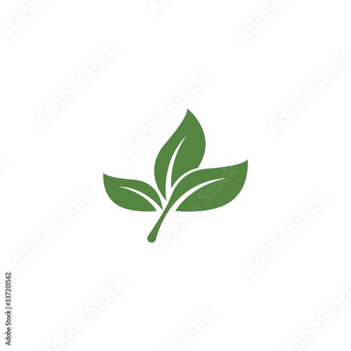 Fototapeta Naklejka Na Ścianę i Meble -  Green garden green leaf ecology logo