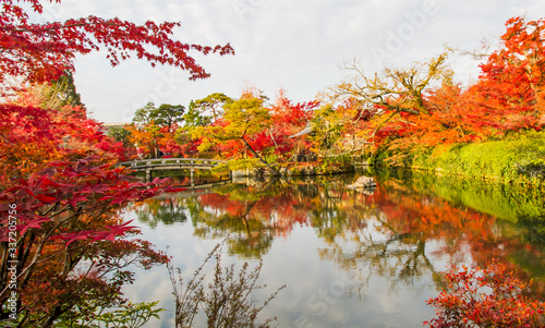 Autumn at Kyoto