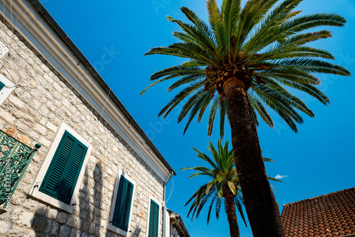 Mediterranean house made of brick and palm trees © florinfaur