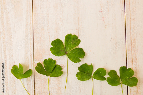 clover on wooden background. The symbolism of the Four Leaves of Clover is the first for faith, the second for hope, the third for love, and the fourth for good luck. St.Patrick 's Day