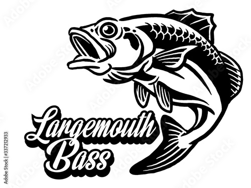 Illustration of a bass with fins, tail and open mouth