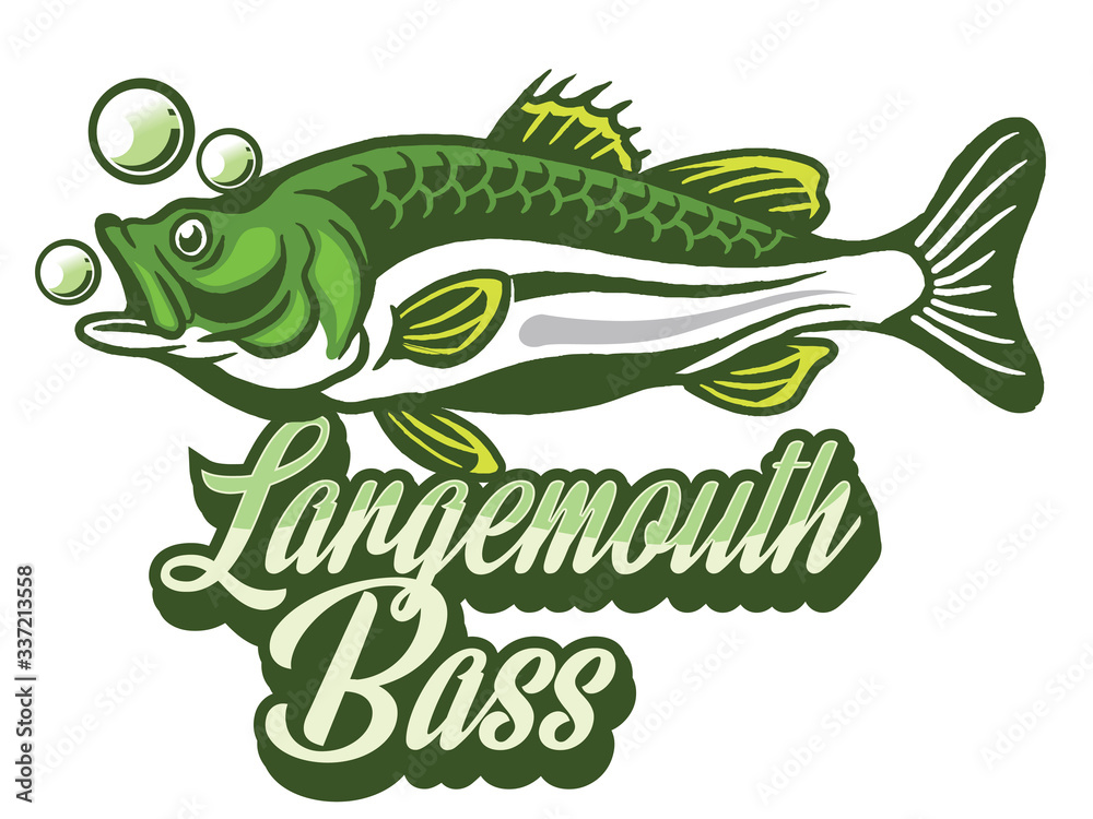 Illustration of a bass with fins, tail and open mouth Illustration of a bass with fins, tail and open mouth