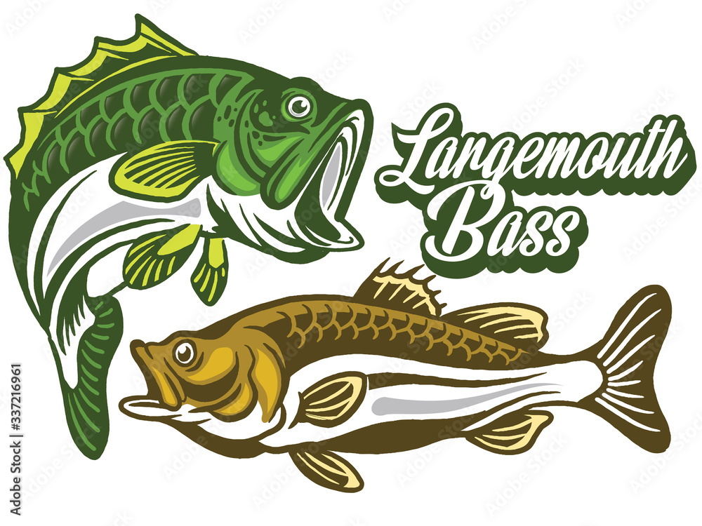 Illustration of a bass with fins, tail and open mouth Illustration of a bass with fins, tail and open mouth