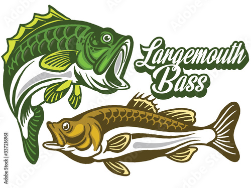 Illustration of a bass with fins, tail and open mouth