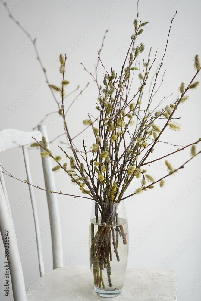 Easter composition with branches of trees and willow