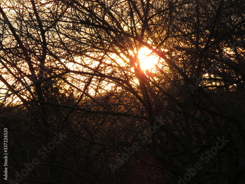 Early morning deck sunrise