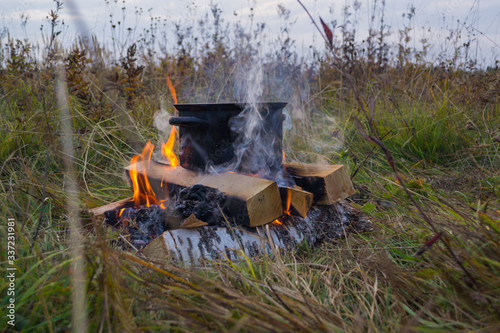 A fire in the forest and a pot