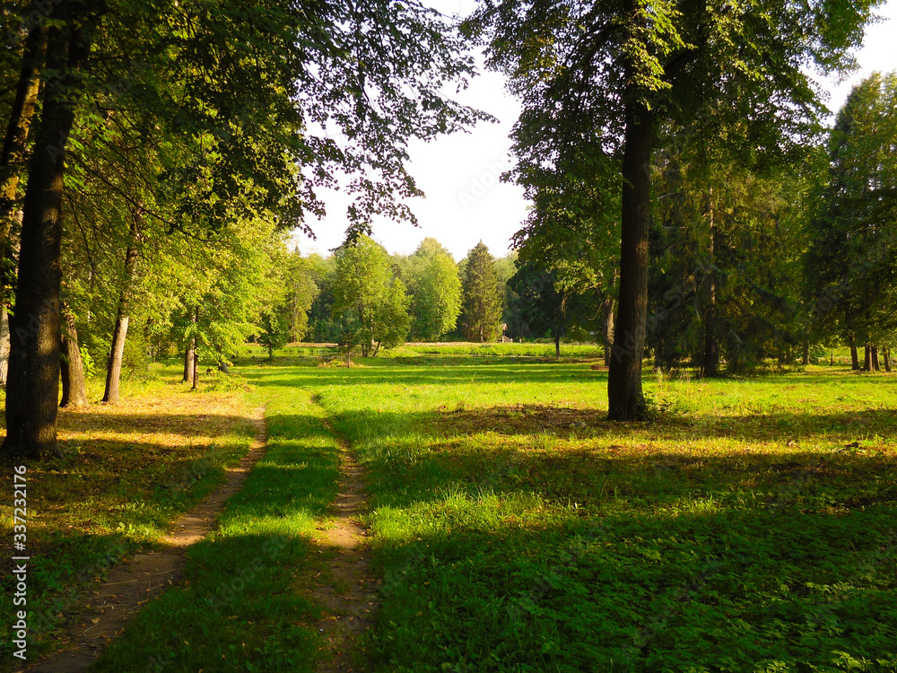 Path in the park Path in the park