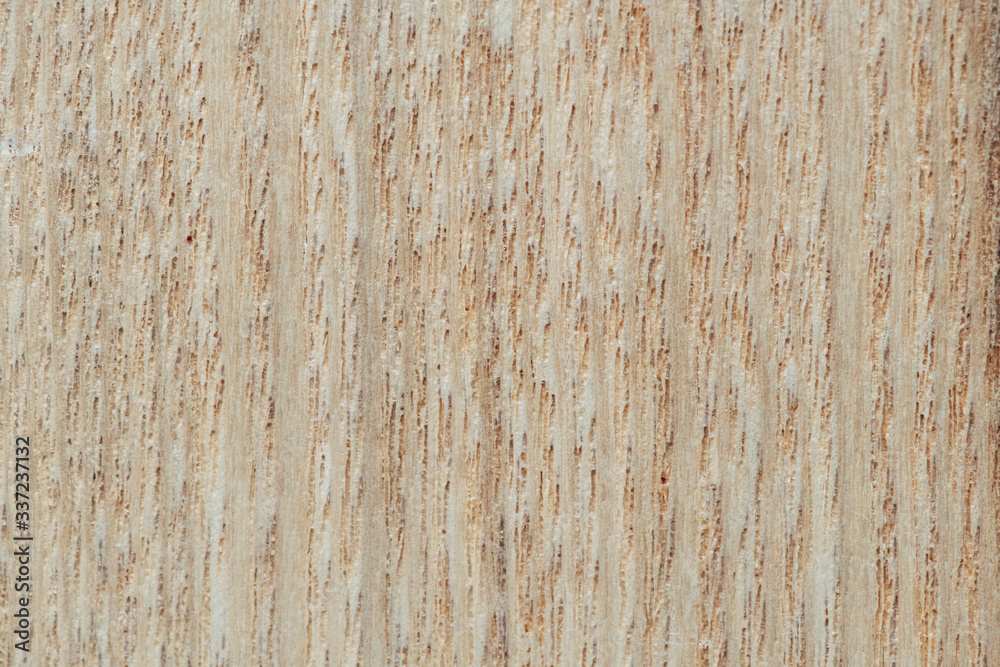 Wooden plank close up Wooden plank close up