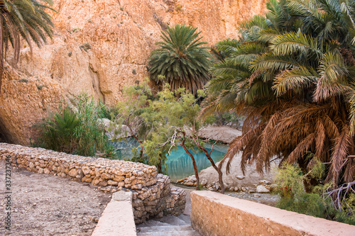 The natural oasis of Shebik with palm trees and a blue lake in the Sahara desert in Tunisia