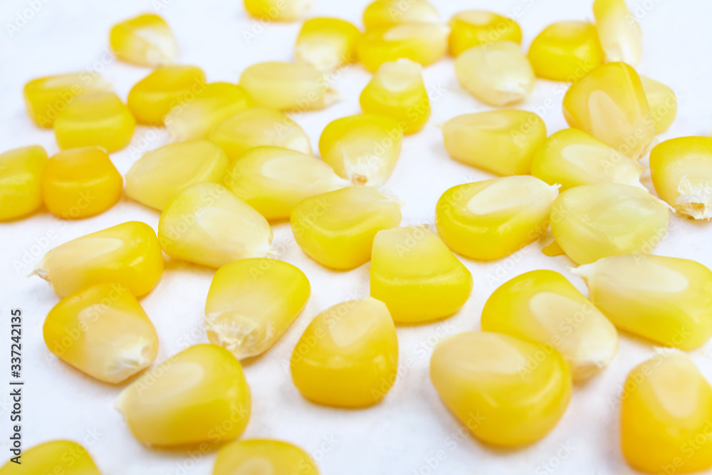 Corn seeds isolated on white. Corn seeds isolated on white.