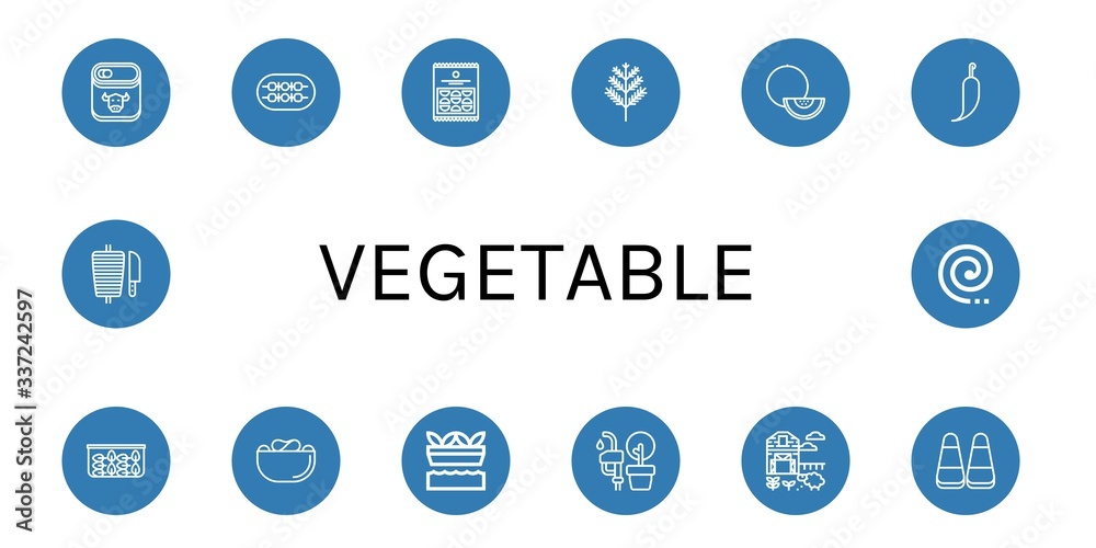 vegetable icon set vegetable icon set