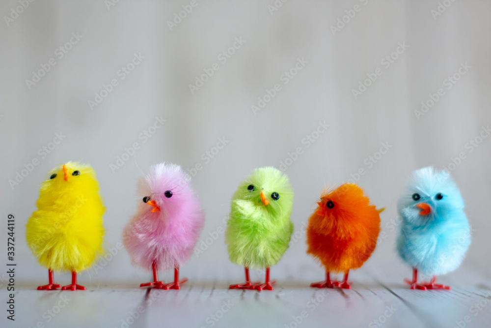 Cute colorful Easter chicks in a row. Easter decoration.