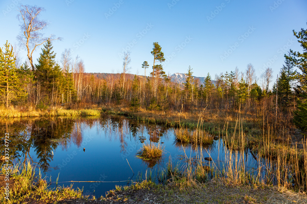 Werdenstein - Moos - Allgäu - Moor - Renaturisierung