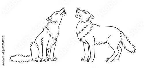 Two howling grey wolves in outlines - vector illustration