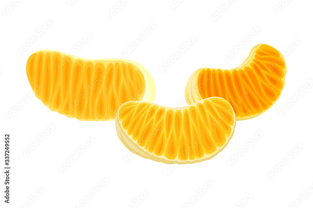 Fresh Peeled and Segmented Mandarin or Tangerine Fruit Isolated on White Background Vector Illustration Fresh Peeled and Segmented Mandarin or Tangerine Fruit Isolated on White Background Vector Illustration