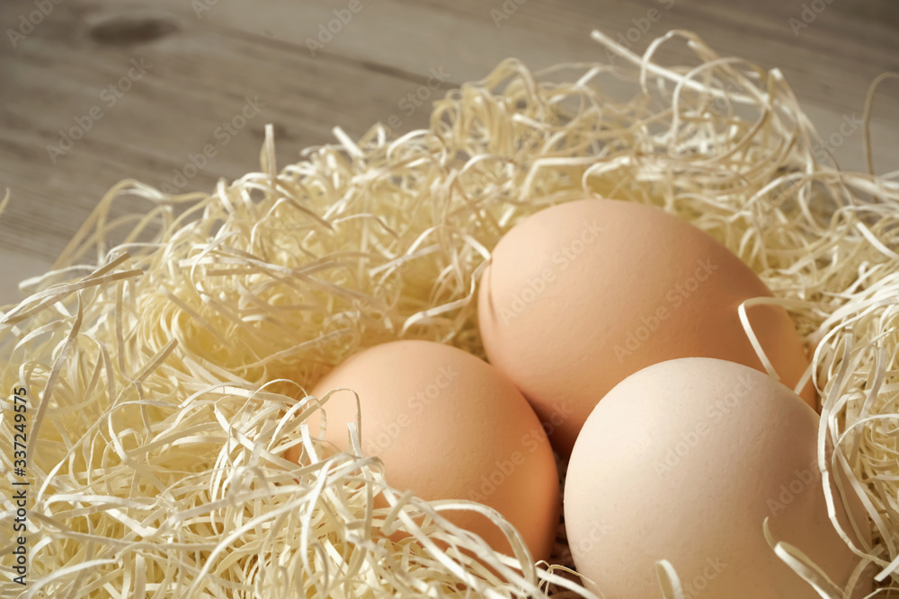 egg 卵 egg 卵