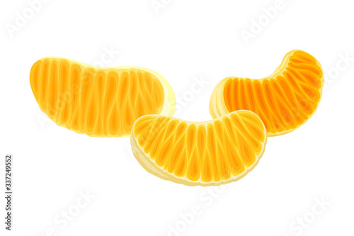 Fresh Peeled and Segmented Mandarin or Tangerine Fruit Isolated on White Background Vector Illustration